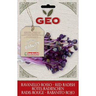Geo | Ridiche rosie raw vegan bio 15g