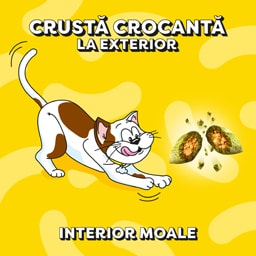 Dreamies | Recompense pentru pisici, cu aroma de iarba piscii 60g