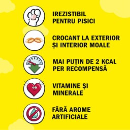 Dreamies | Hrana complementara cu pui pentru pisici adulte si pisoi 60g