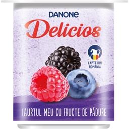 Danone Delicios | Iaurt cu fructe de padure 125g