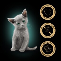 Sheba | Hrana umeda pentru pisici junioare, cu pui in sos 85g