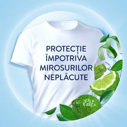 Lenor | Balsam pentru rufe Meadow, 71 spalari 1.491L