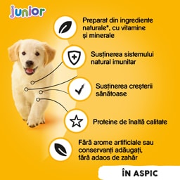 Pedigree | Hrana umeda cu pui, pentru caini Junior 400g
