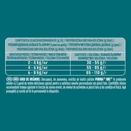 Purina One | Hrana uscata pentru pisici adulte cu digestie sensibila, cu curcan si orez 750g