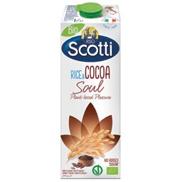 Bautura din orez cu cacao bio 1L