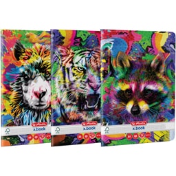 Herlitz | Caiet A4 matematica, 60 file, capsat