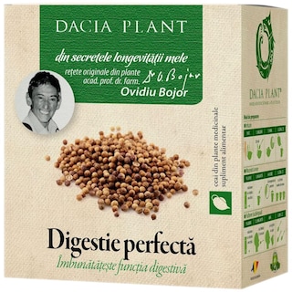 Dacia Plant