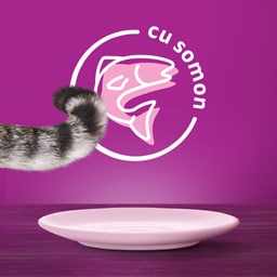 Whiskas | Hrana umeda pentru pisici cu somon in sos 85g