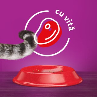 Whiskas | Hrana uscata cu vita 1.4kg