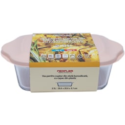 Neoflam | Vas pentru cuptor din sticla borosilicata, cu capac din plastic 2.5L