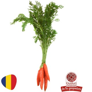 Gusturi romanesti | Morcovi cu frunze, legatura