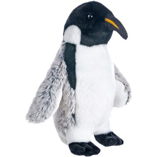 Expeditia Oceanelor | Pinguin