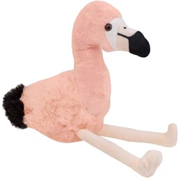 Expeditie in jurul lumii | Plus Flamingo