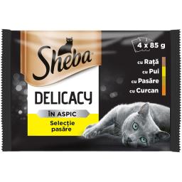 Hrana umeda pentru pisici, Selectie de pasare 340g