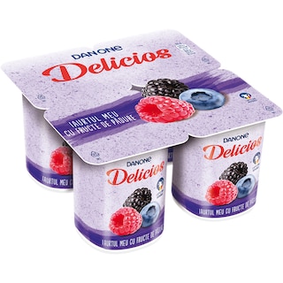 Danone Delicios | Iaurt cu fructe de padure 125g