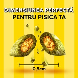 Dreamies | Recompense pentru pisici, cu aroma de iarba piscii 60g
