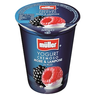 Muller | Pezzi di frutta | Iaurt cu bucati de mure si zmeura 500g