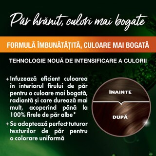 Garnier | Color Naturals | Vopsea de par 4 Saten