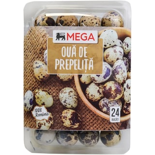 MEGA | Oua de prepelita, 24 bucati