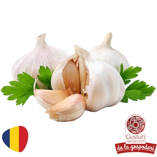 Gusturi romanesti | Usturoi