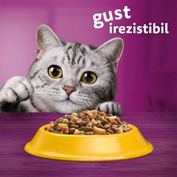 Whiskas | Hrana uscata cu pui pentru pisici sterilizate 1.4kg
