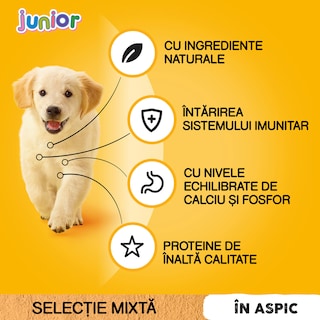 Pedigree | Hrana umeda pentru caini Junior, selectie mixta in aspic, 4x100g