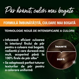 Garnier | Color Naturals | Vopsea de par 4 Saten