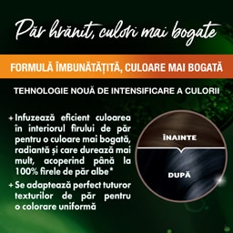 Garnier | Color Naturals | Vopsea par Negru albastrui 2.10