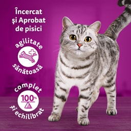 Whiskas | Hrana umeda pentru pisici cu miel si curcan in sos 85g