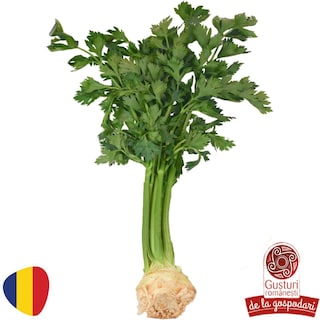 Gusturi romanesti | Telina cu frunze