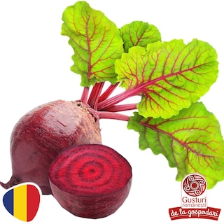 Gusturi romanesti | Sfecla rosie cu frunze