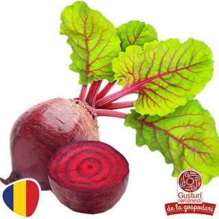 Gusturi romanesti | Sfecla rosie cu frunze