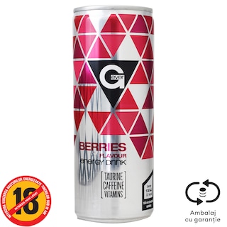 Ever-G | Bautura energizanta cu aroma de fructe de padure 250ml