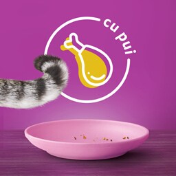 Whiskas | Hrana uscata pentru pui de pisica, cu pui 1.4kg
