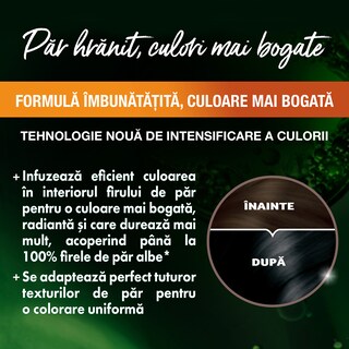 Garnier | Color Naturals | Vopsea pentru par 1 Negru