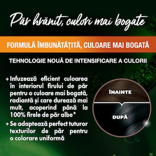 Garnier | Color Naturals | Vopsea pentru par 1 Negru