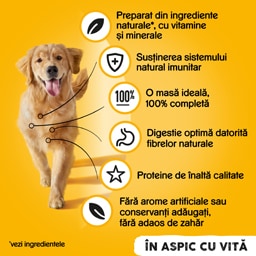 Pedigree | Hrana umeda caine vita la conserva 400g
