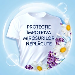 Lenor | Balsam pentru rufe Lavanda si musetel, 71 spalari 1.491L