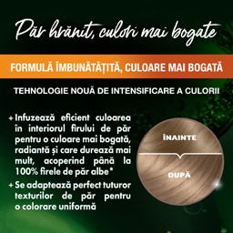 Garnier | Color Naturals | Vopsea par blond cenusiu 7.1