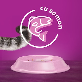 Whiskas | Hrana uscata pentru pisici sterilizate, cu somon 1.4kg