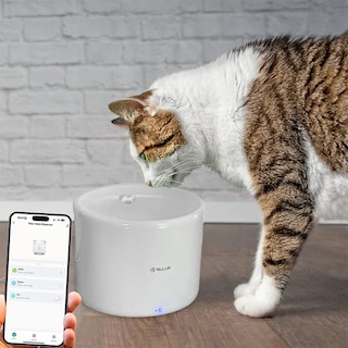Tellur | Smart | Dispenser apa animale de companie TLL331471