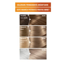 Garnier | Color Naturals | Vopsea par blond cenusiu 7.1