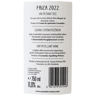 Friza