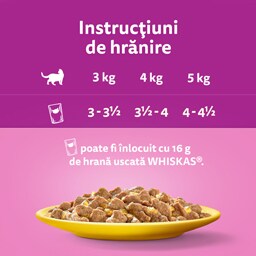 Whiskas | Hrana umeda pentru pisici adulte, cu pui, rata, pasare, curcan, in aspic 80x85g