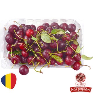 Gusturi romanesti | Visine calitatea I 500g