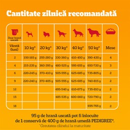 Pedigree | Hrana uscata pentru catei cu pui si legume 500g